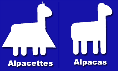 Alpacettes of course, wear skirts and bows!